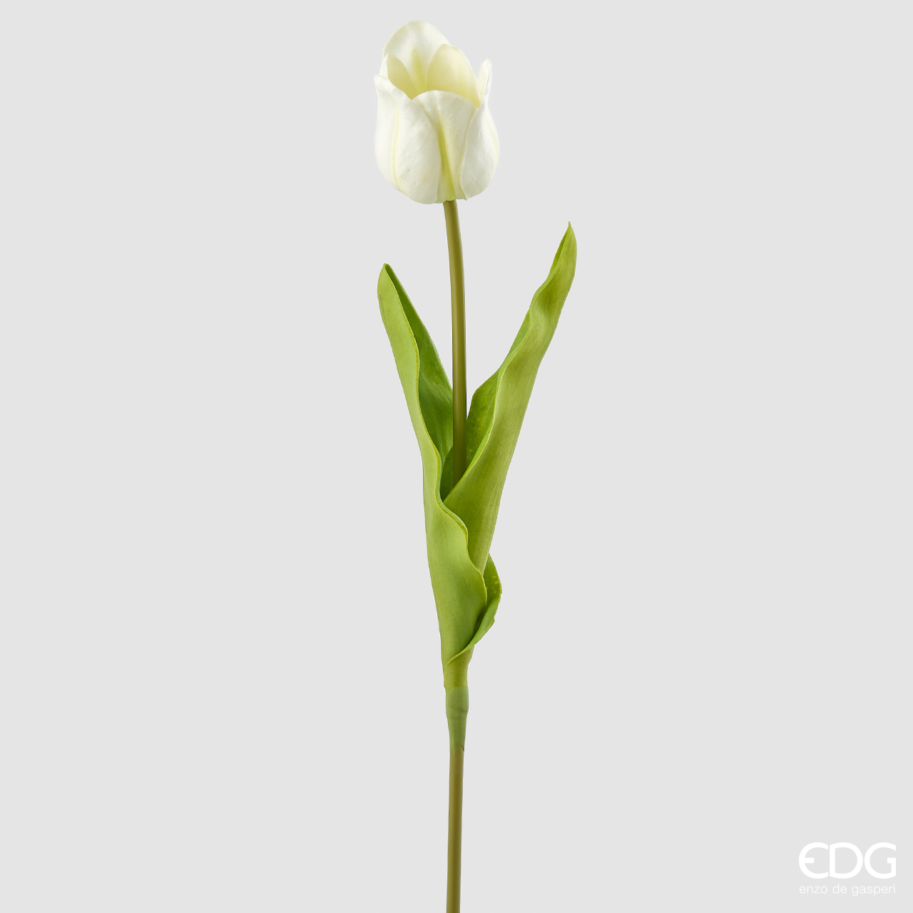 Tulipani in vaso di vetro: altezza 210 mm, conf. da 6 pz.