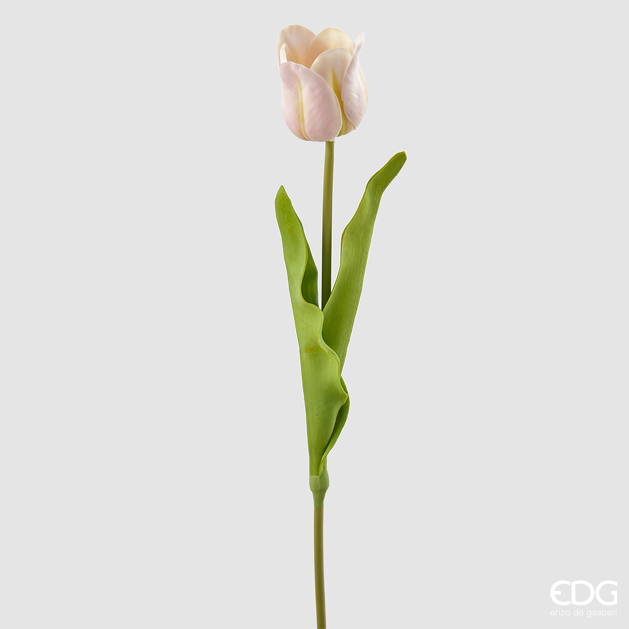 Tulipano glorious in lattice, h. 51 cm col. rosa chiaro - brand: edg ...